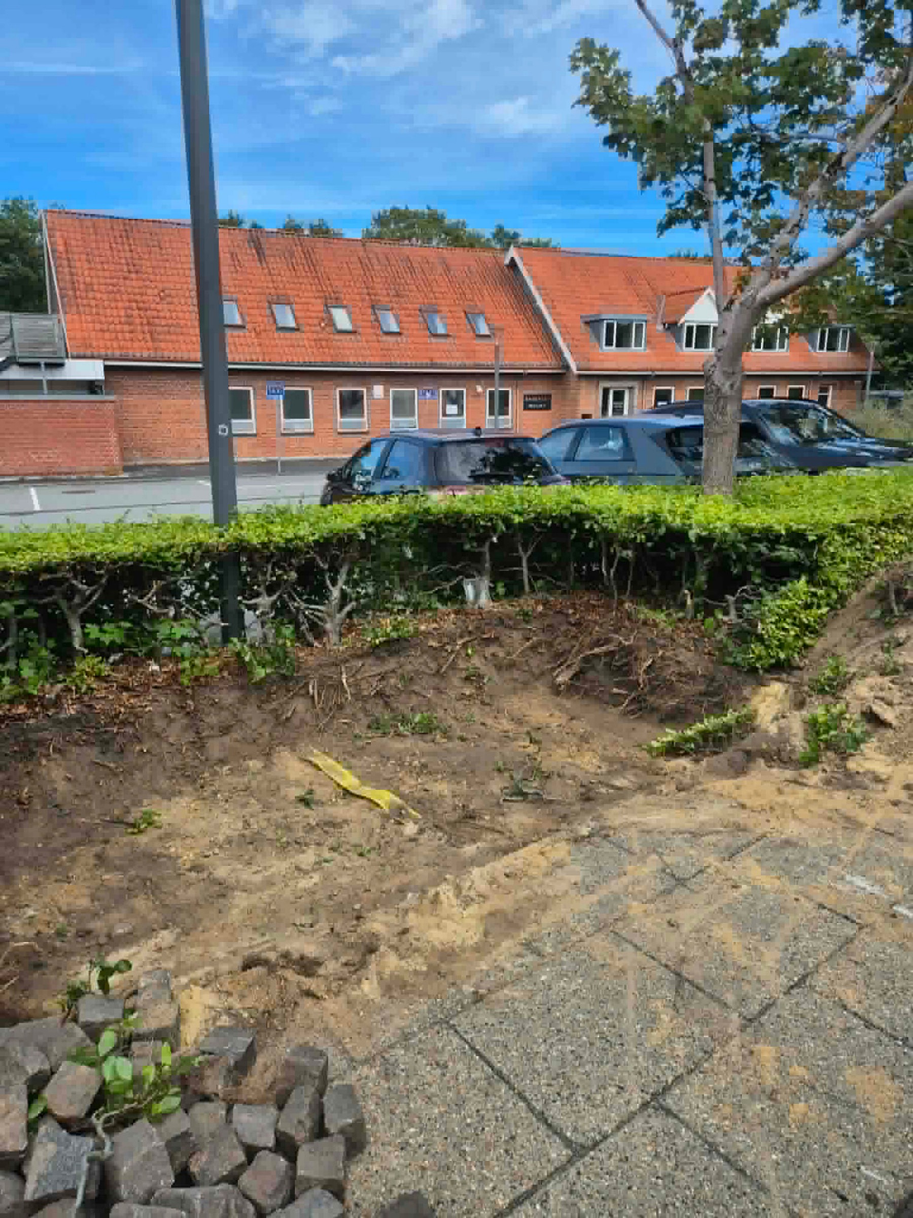 Afgravet og planeret jordareal langs hæk og fliserareal i Ikast